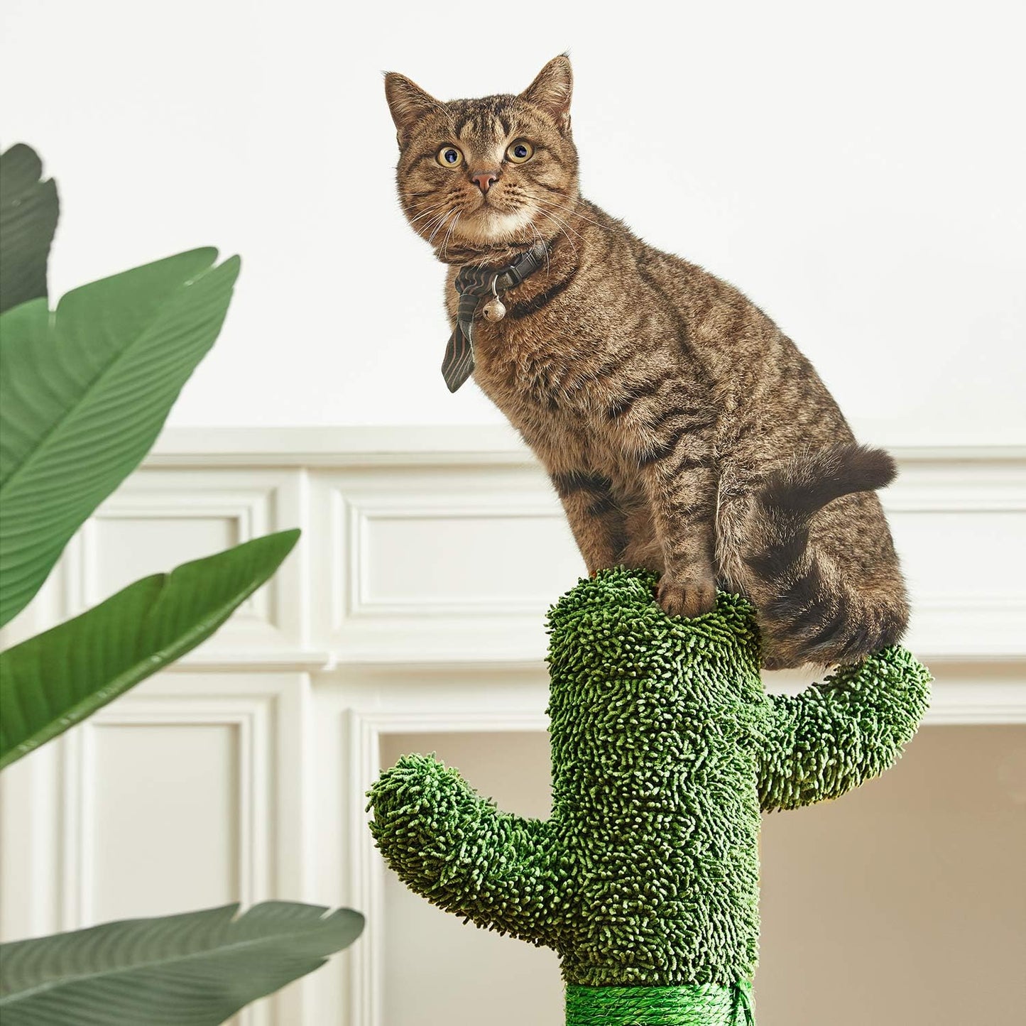 34" Cactus Cat Scratching Post with Dangling Ball for Cats Large Version Green
