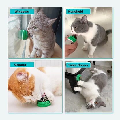 Catnip Cat Toys with 2 Candies, Catnip Wall Ball Toys for Indoor Cats, Rotatable Safe Healthy Edible Licking Balls for Kitty Playing, Kitten Chew Cleaning Teeth Treats Toys…