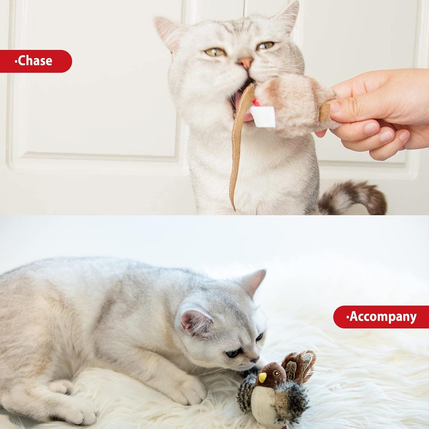Chirping Bird Cat Toy Set, Interactive Chasing Toy for Indoor Cat, Motion Activated Kitten Play Toys, Squeaky Cats Animal Feather Toy for All Breeds Cats Kicker