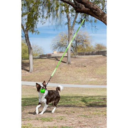 JP071  Tree Tugger Bungee, Green - Large