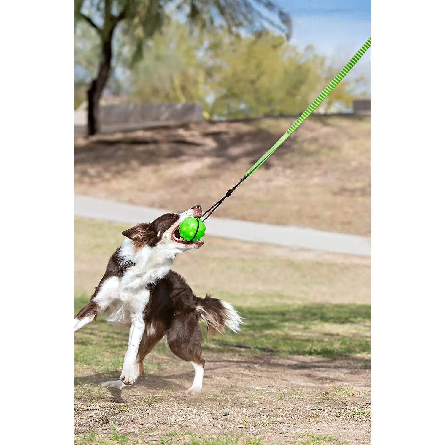 JP071  Tree Tugger Bungee, Green - Large